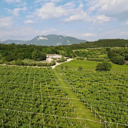 Serene Holiday And Wine Farm Аффи Экстерьер фото
