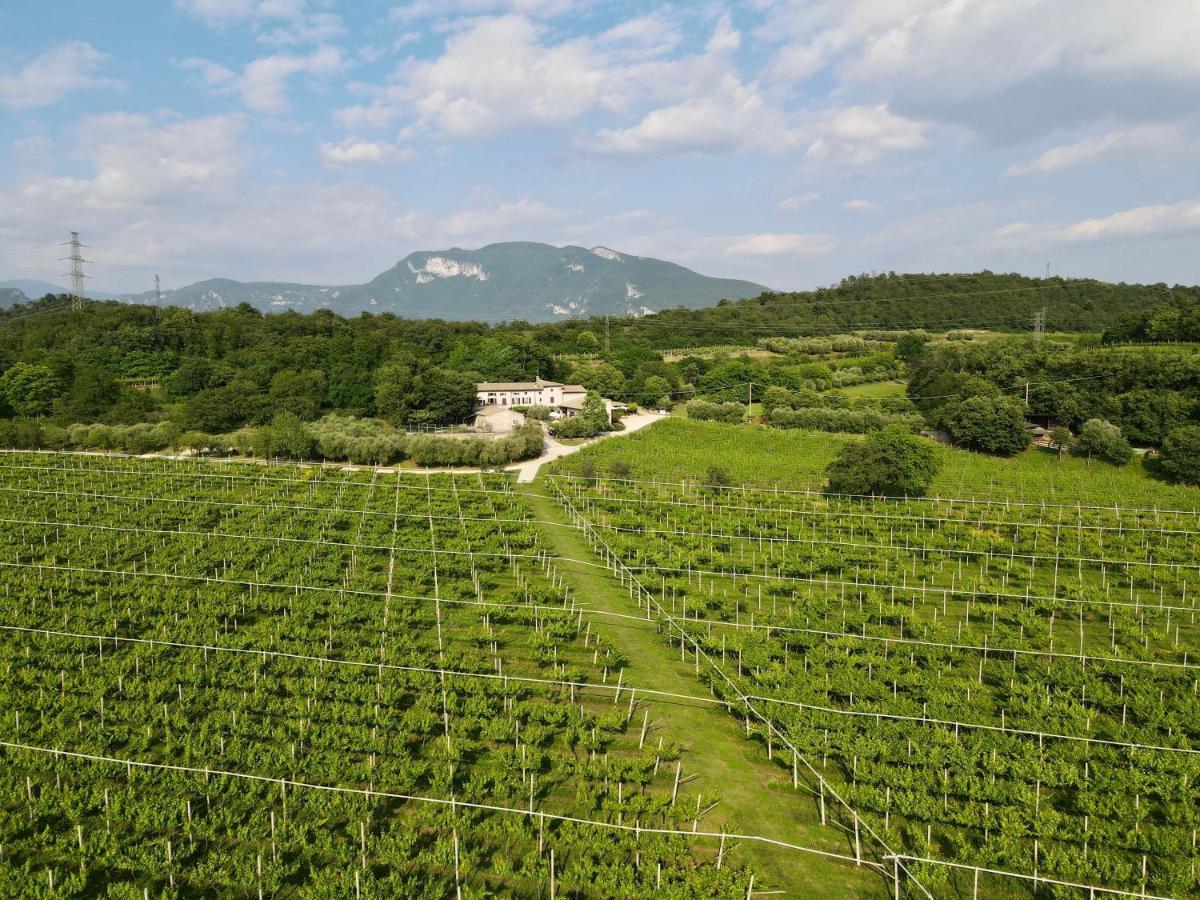 Serene Holiday And Wine Farm Аффи Экстерьер фото