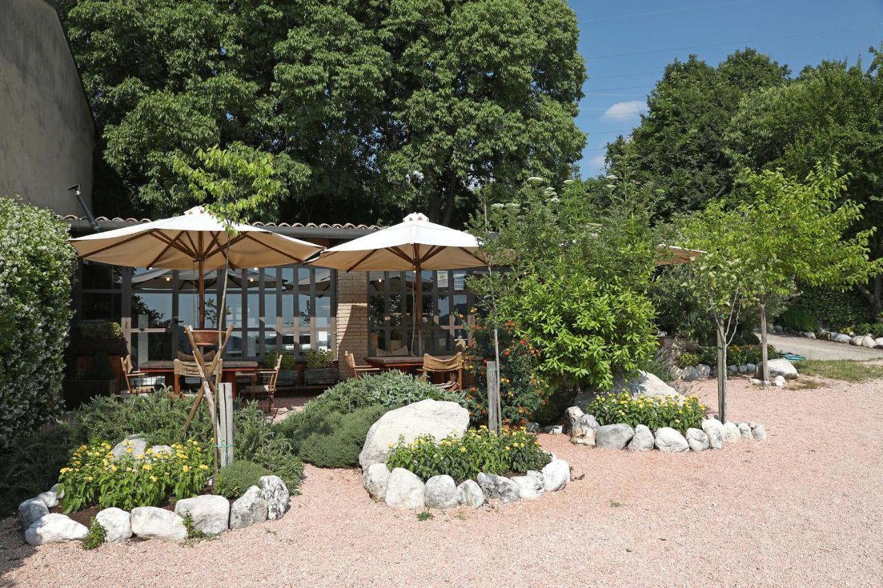 Serene Holiday And Wine Farm Аффи Экстерьер фото