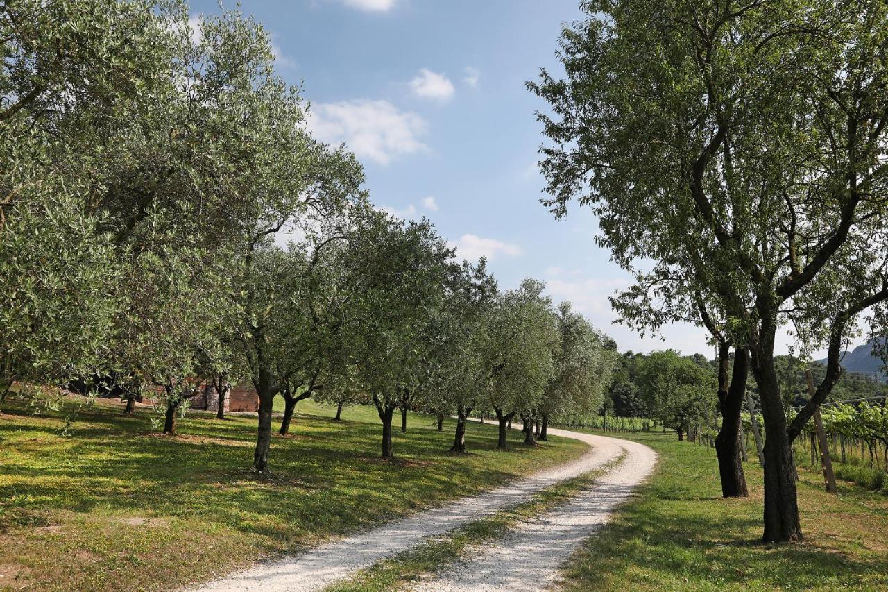 Serene Holiday And Wine Farm Аффи Экстерьер фото